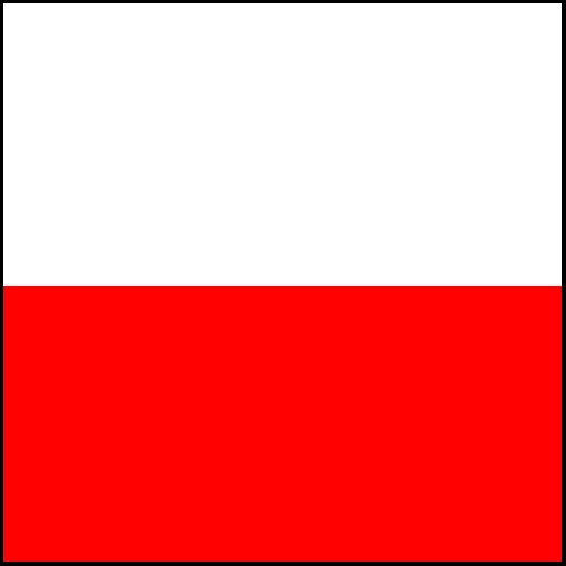 Polski producent